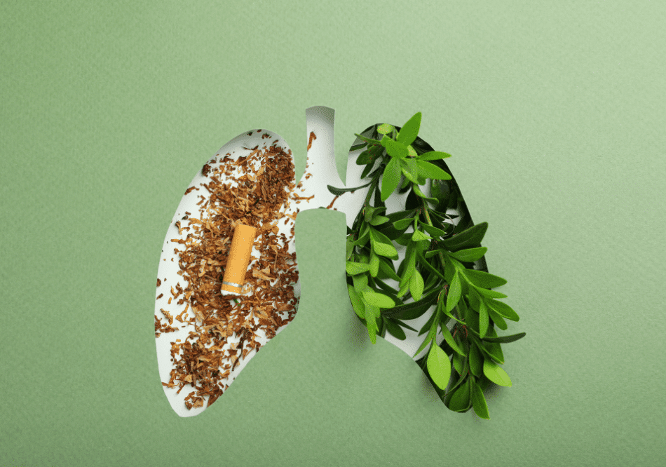Lung Disease and Asthma Treatment in Ayurveda Pneumonia treatment in Ayurveda Ayurvedic medicines and Panchakarma for Lung Disease